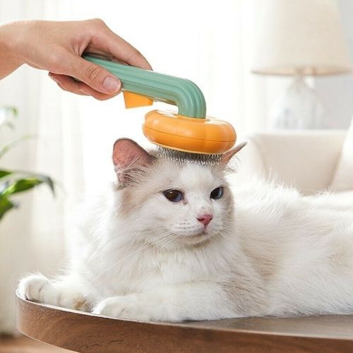 Pet Pumpkin Brush, Pet Grooming Self Cleaning Slicker Brush For Dogs Cats Puppy Rabbit, Cat Brush Grooming Gently Removes Loose Undercoat Pet Pumpkin Brush, Pet Grooming Self Cleaning Slicker Brush For Dogs Cats Puppy Rabbit, Cat Brush Grooming Gently Removes Loose Undercoat