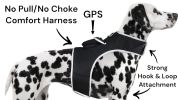 Action Activated Mini Dog GPS Tracking Device Rechargeable Pet Tracker Size:M