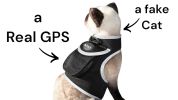Portable Realtime Tracking Dog Collar GPS GSM Waterproof Mini Tracker Size:L