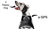 NEW Pocket Collar Mount GPS Tracking for Dog Realtime Wireless Tracker Size:L