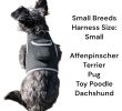 Action Activated Mini Dog GPS Tracking Device Rechargeable Pet Tracker Size:M