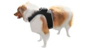 NEW Pocket Collar Mount GPS Tracking for Dog Realtime Wireless Tracker Size:L