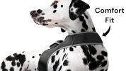 NEW Waterproof GPS Collar for Dogs Mini Realtime Pet Location Tracker Size:L